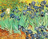 Irises by Vincent van Gogh